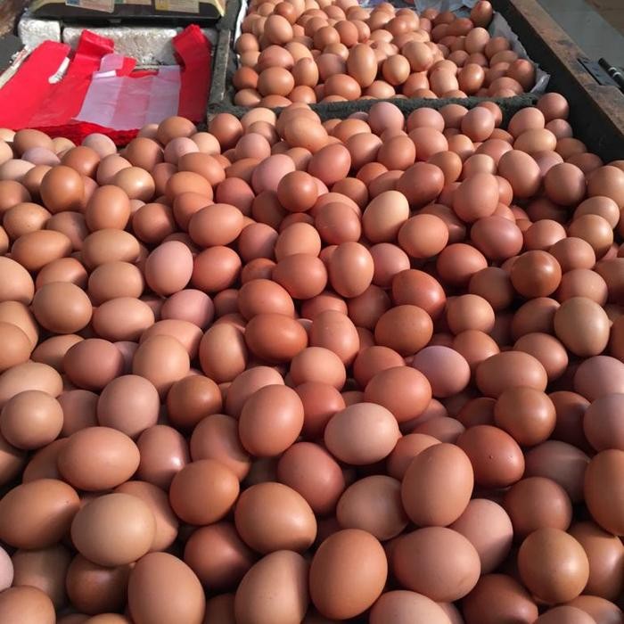 

Telur Negri 1 kg