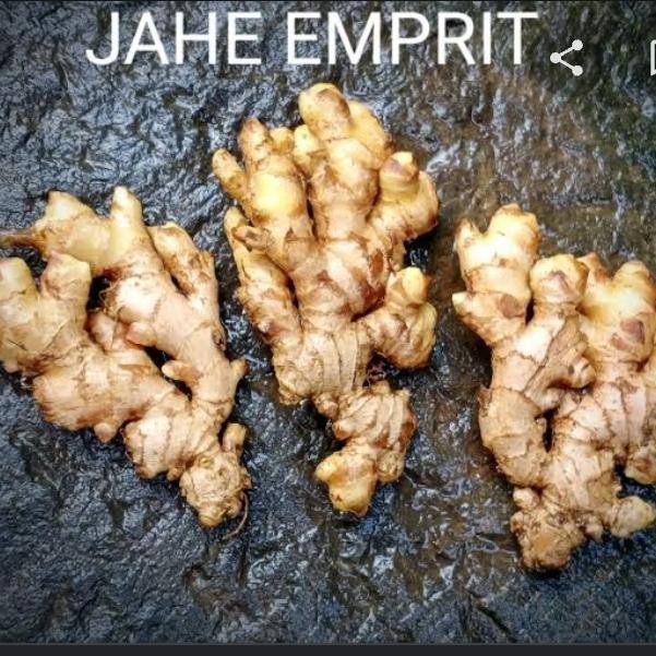 

Jahe Emprit Super 100gr