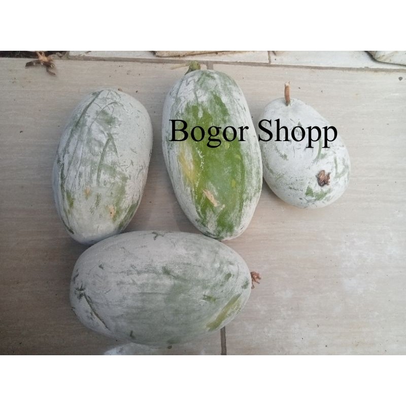 

BUAH BLIGO ATAU KUNDUR SEJENIS LABU SAYUR 1 kg