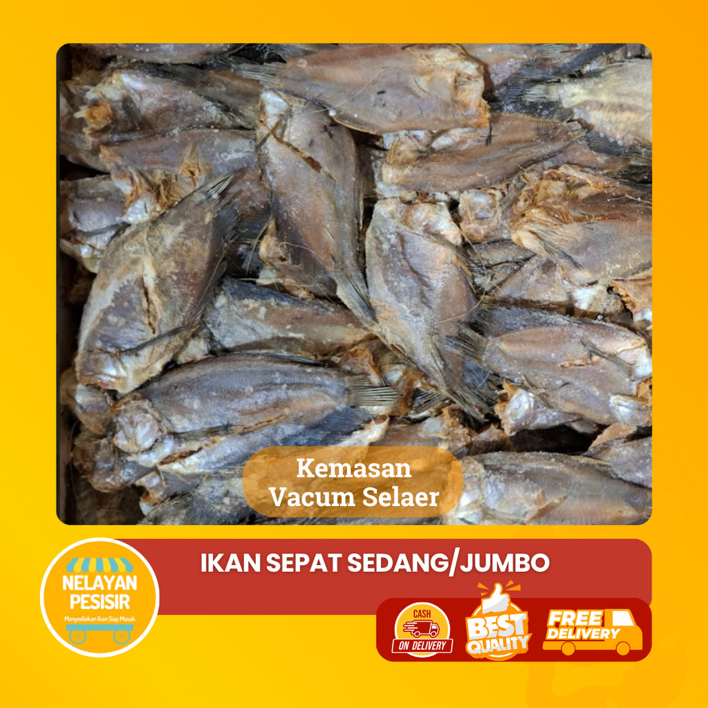 

Ikan Asin Sepat Ukuran Besar Dan Sedang Rasa Asin Pas Tidak Amis Siap Goreng