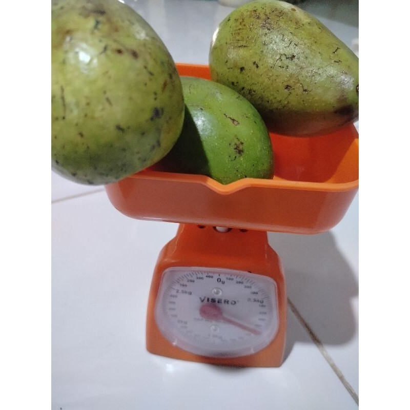 

Obral untuk Hari Ini Alpukat Mentega Super 1,1 Kg 6 Biji Mateng