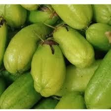 BIBIT / POHON BELIMBING WULUH CEPAT BERBUAH SIAP TANAM