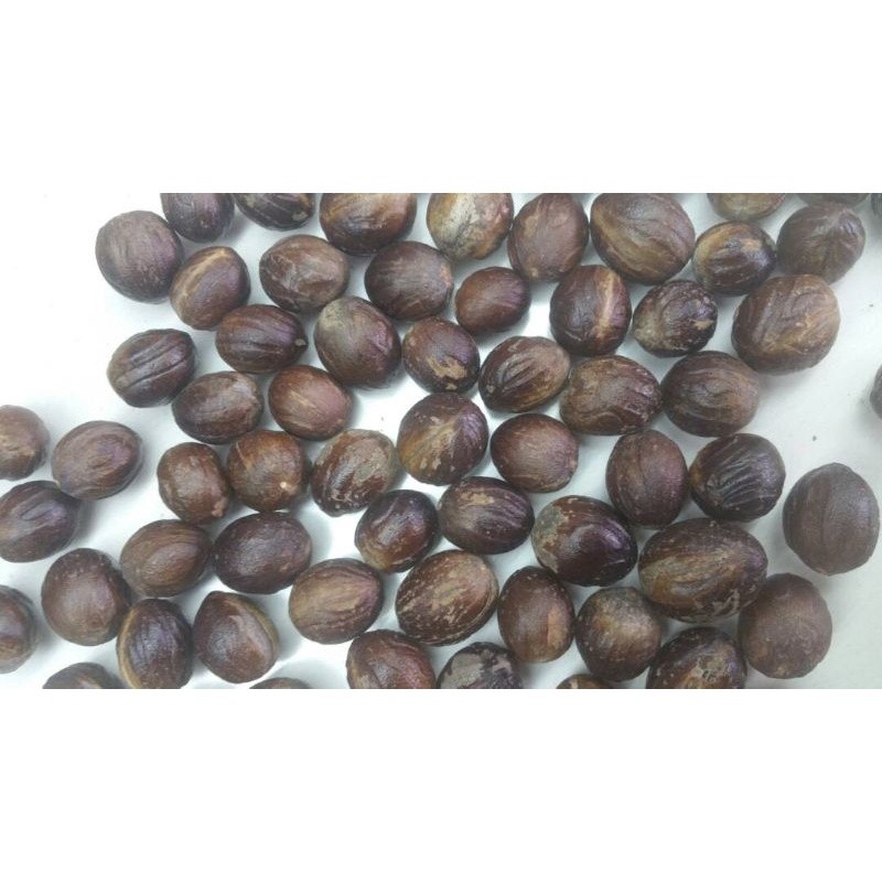 

Pala bulat dapat 1 kg. Kualitas Ekspor