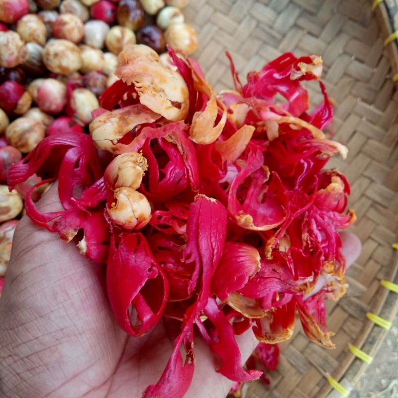 Bunga Pala Kering / puli / sempra Bunga Buah Biji Pala 1KG