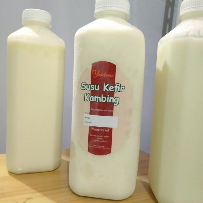 

Susu Kefir KAMBING 48 Jam Fermentasi Etawa ORGANIK Solusi Sehat