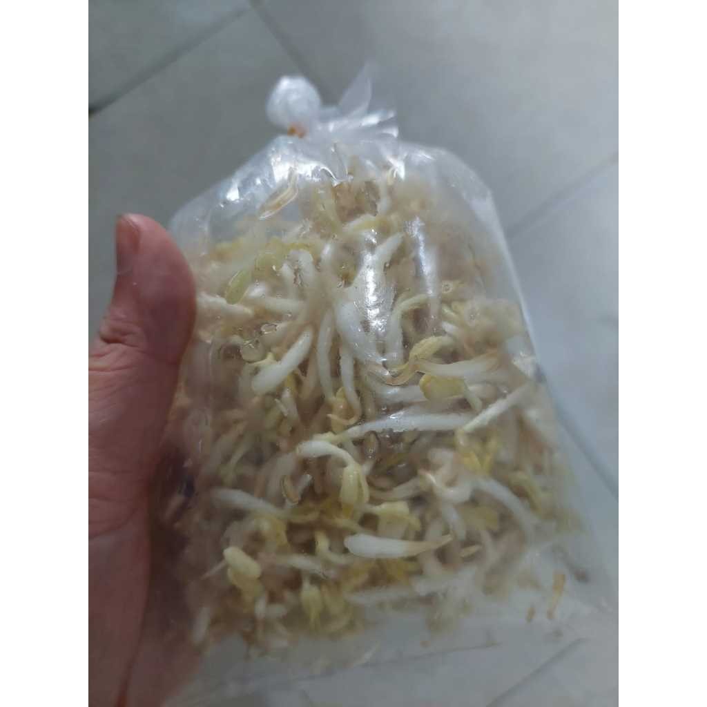 

pekanbaru /pekanbaru / tauge / toge / kecambah / untuk campuran masakan mie sagu / mi kacang ( estimasi 100gr )