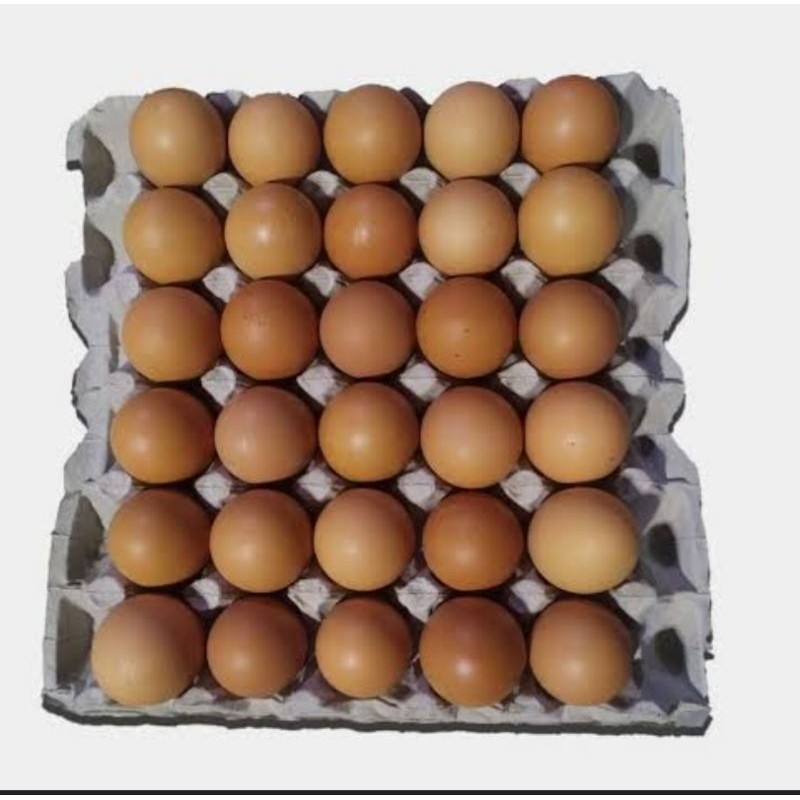

Telur Ayam Negeri Segar Per 30 Butir 1,7-1,9 Kg