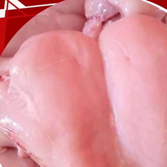 

NEW Filet Dada AYAM 1kg/filet ayam/filet dada/ayam negeri/ayam potong PREMIUM