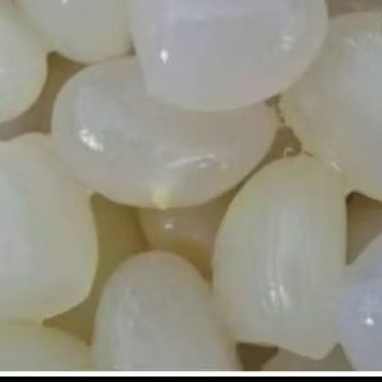 

kulang Kaling fres buat manisan atau buat kolak