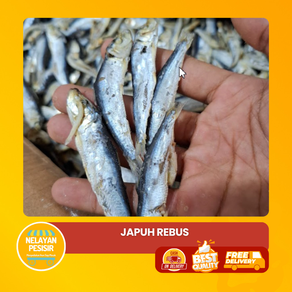 

Asin Rebus Japu Layang Enak Gurih Tidak Amis Siap Goreng Tanpa Repot