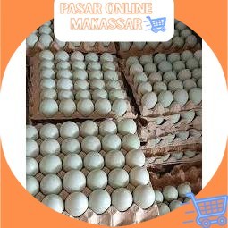 

Perbiji Telur Ayam Ras / Telur Ayam Kampung / Telur Puyuh / Telur Bebek