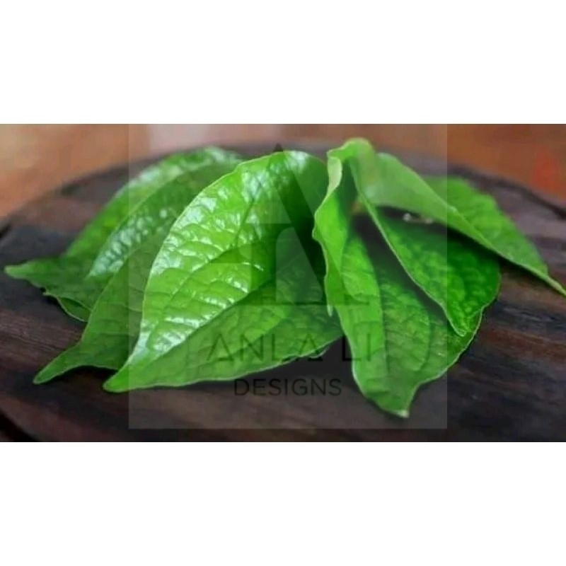 

sirih hijau freshh segar dadakan pesan>petik>kirim