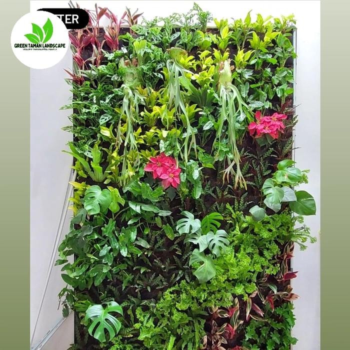 Paket Pembuatan Vertical Garden / Vertical Garden Tanaman Hidup