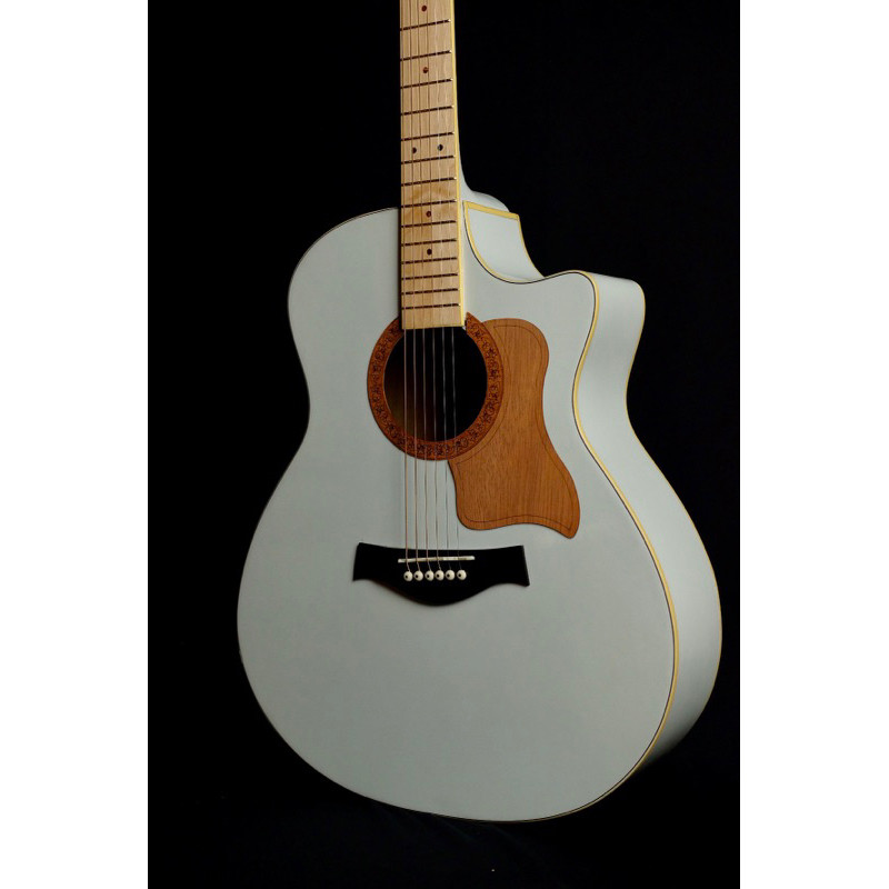 GITAR AKUSTIK/AKUSTIK ELEKTRIK JGS TR 01 WTCO