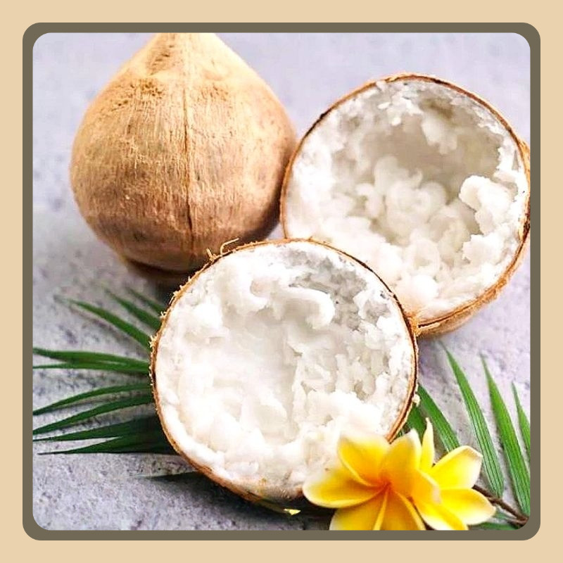 

(SPESIAL PRODUK UK.45-47Cm ) KELAPA KOPYOR KHAS PATI GARANSI 100%