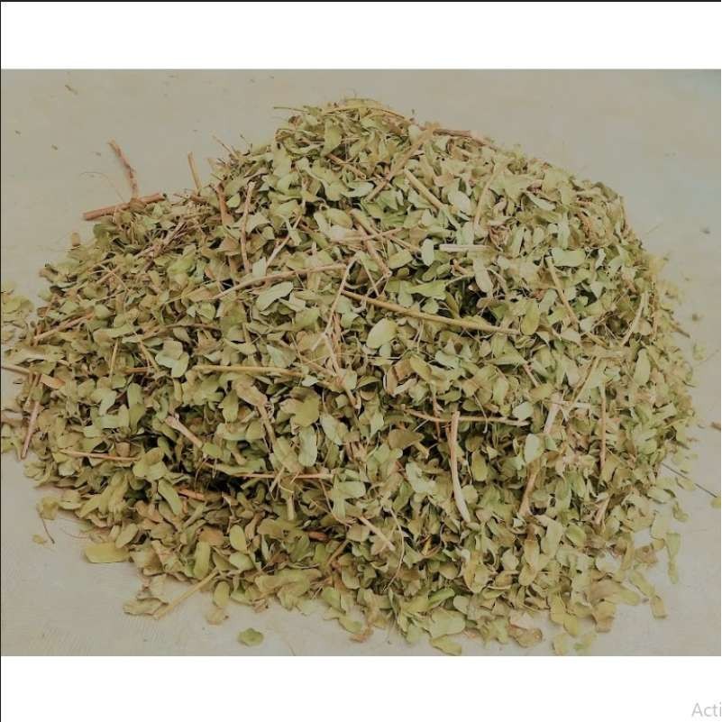 

MURAH Daun saga/sogo kering 100gr