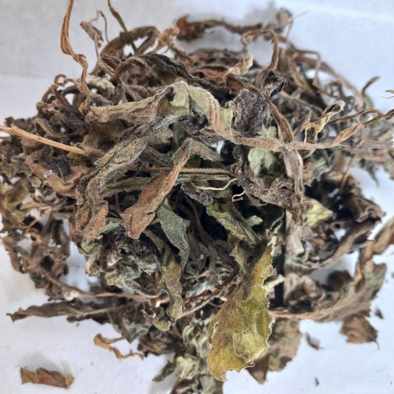 

MURAH Daun Dewa Kering 250gr