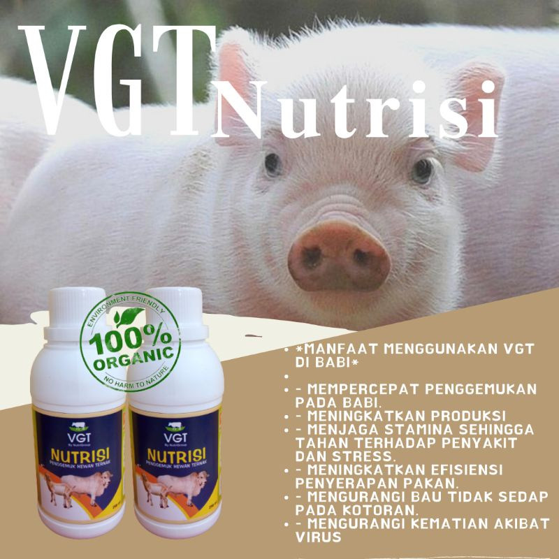 Vgt Nutrisi Vitamin Ternak Babi
