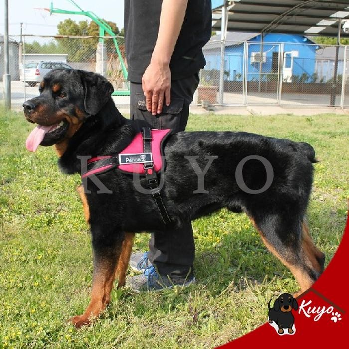 Sale Dog Harness Rompi Anjing Polisi Tugas Jaga Baju Kalung Tali Hewan Pet - Merah, SHappy Shopping