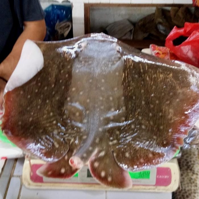 

Ikan Pari 1 kg