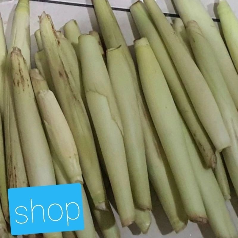 

trubuk sayur satu ikat trubuk bunga trubuk .