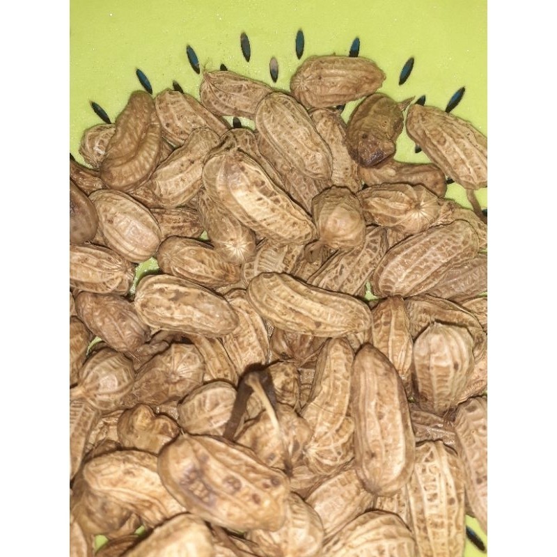 

lacang kulit' kacang rbus 500 gr ready