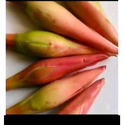 

Rombeh' bunga kcomrang 200 gr bunga honje ready