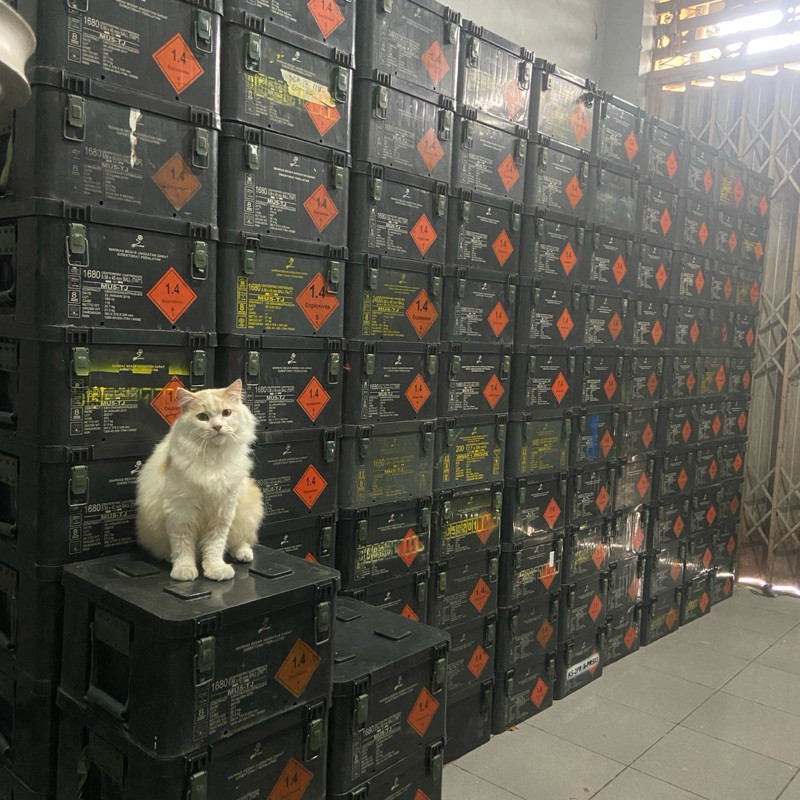 BOX PINDAD BESI JATAH Box Bekas Multifungsi Serbaguna Kotak Penyimpanan Barang Perkakas Tool Box Fib