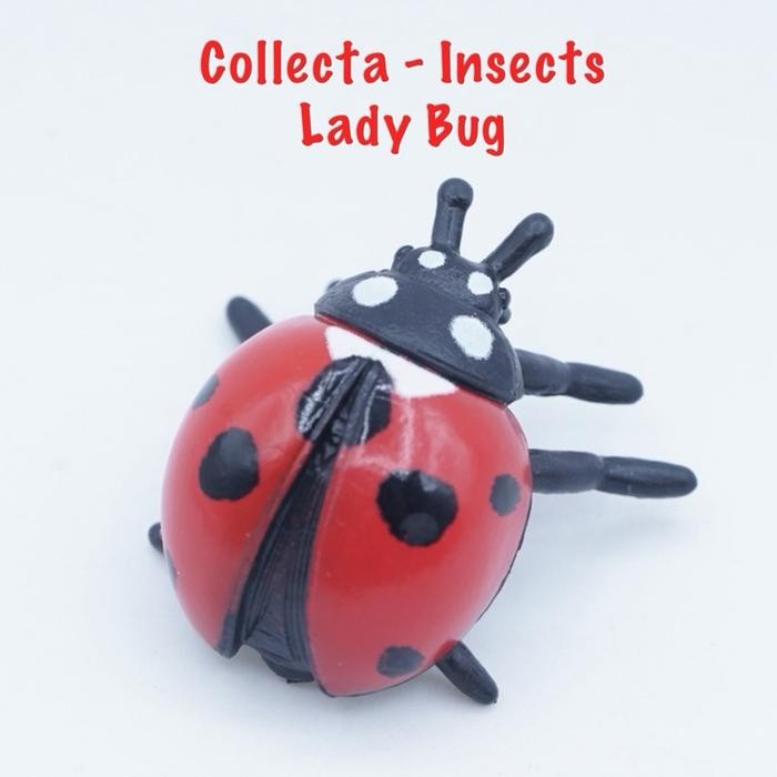 Collecta A1106 Mini Insect & Spider |   Lady Bug Kumbang Kepik Koksi Hemiptera |Small Size Ukuran Ke