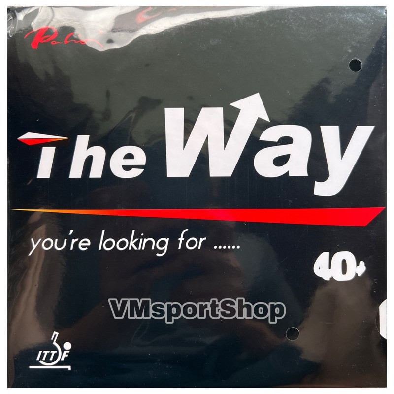 Palio The Way 40+ Karet Bet PingpongCO