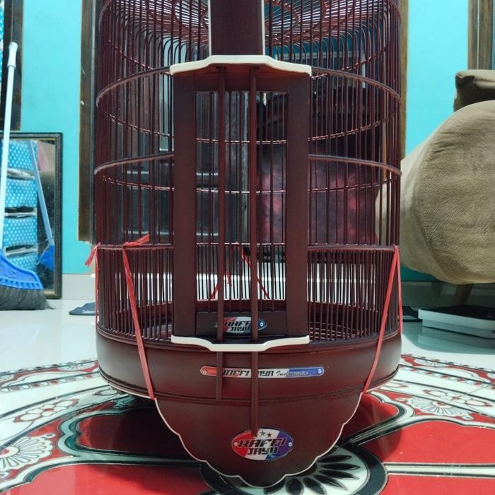 sangkar/kandang Anis/wambi aklirik