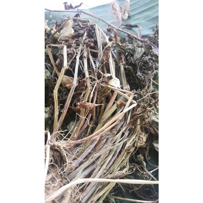 

AZ 100gr Daun Ciplukan kering (akar batang daun) SA