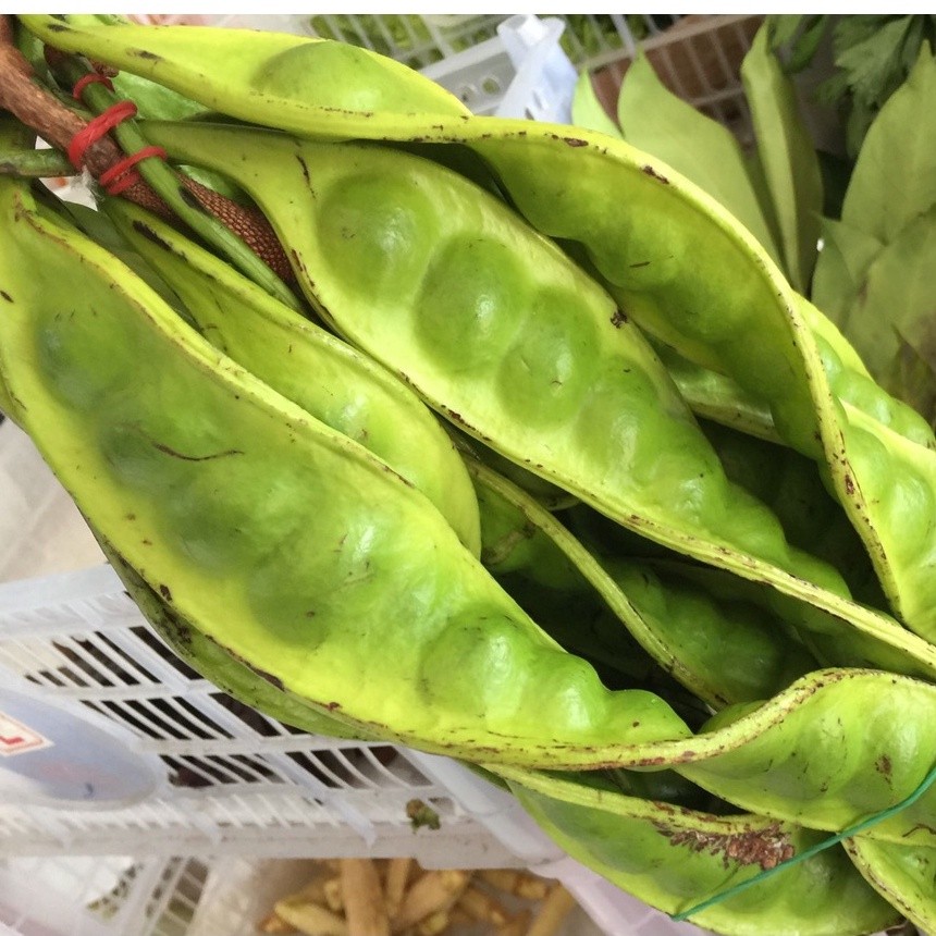 

Pete Petai Petey Segar per Papan termurah