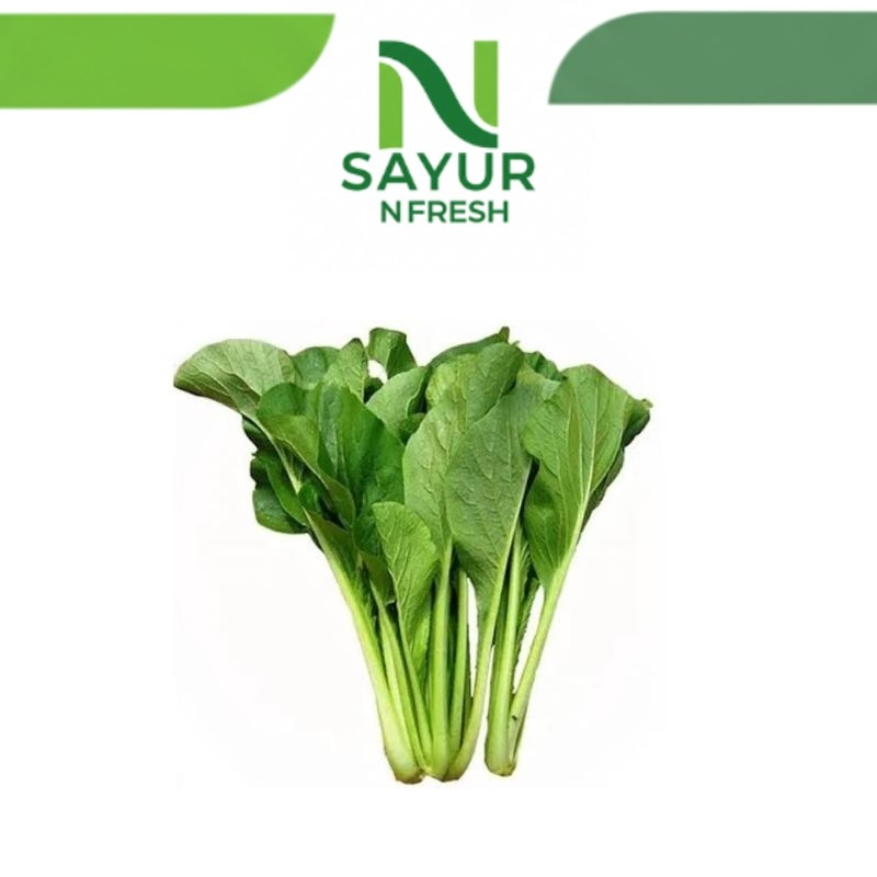 

SAYUR SAWI HIJAU SAWI IJO 1 IKAT FRESH