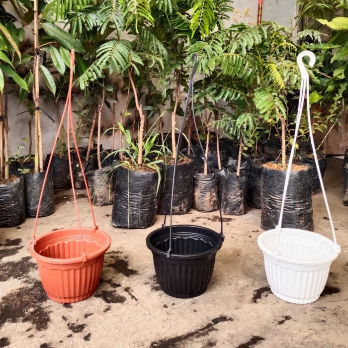 pot gantung putih, pot pumba 20 putih, pot gantung 1 set gantungan