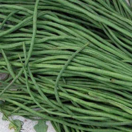 

Kacang Panjang 1 kg