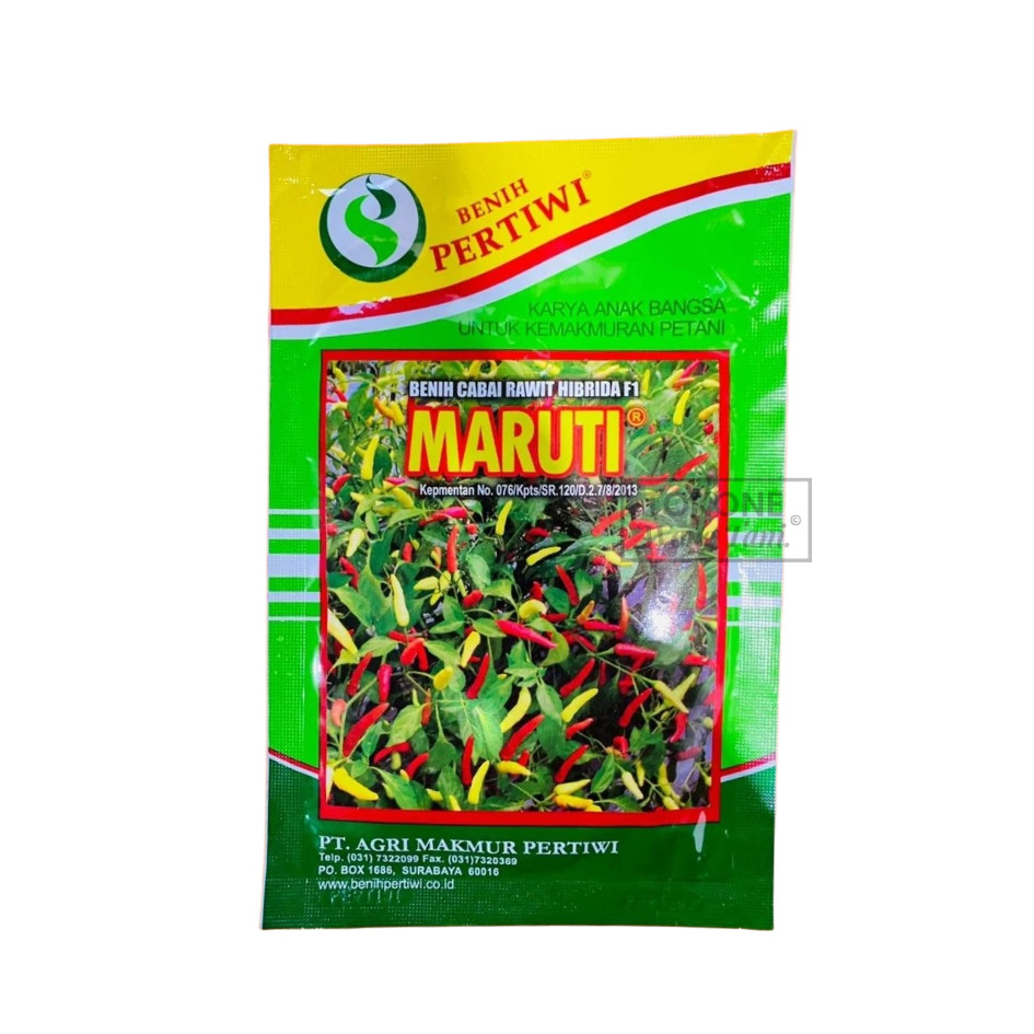 Benih Cabai Rawit MARUTI isi 10 Gr Original PERTIWI Panen Lebat