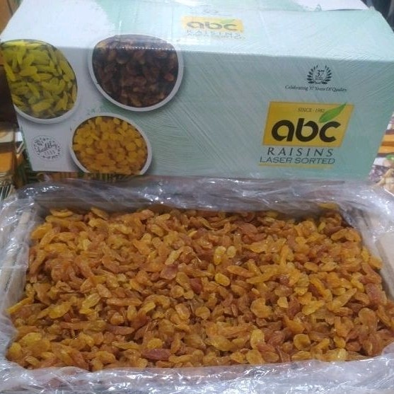 

Kismis Jumbo golden raisin 1kg oleh oleh haji berkwalitas
