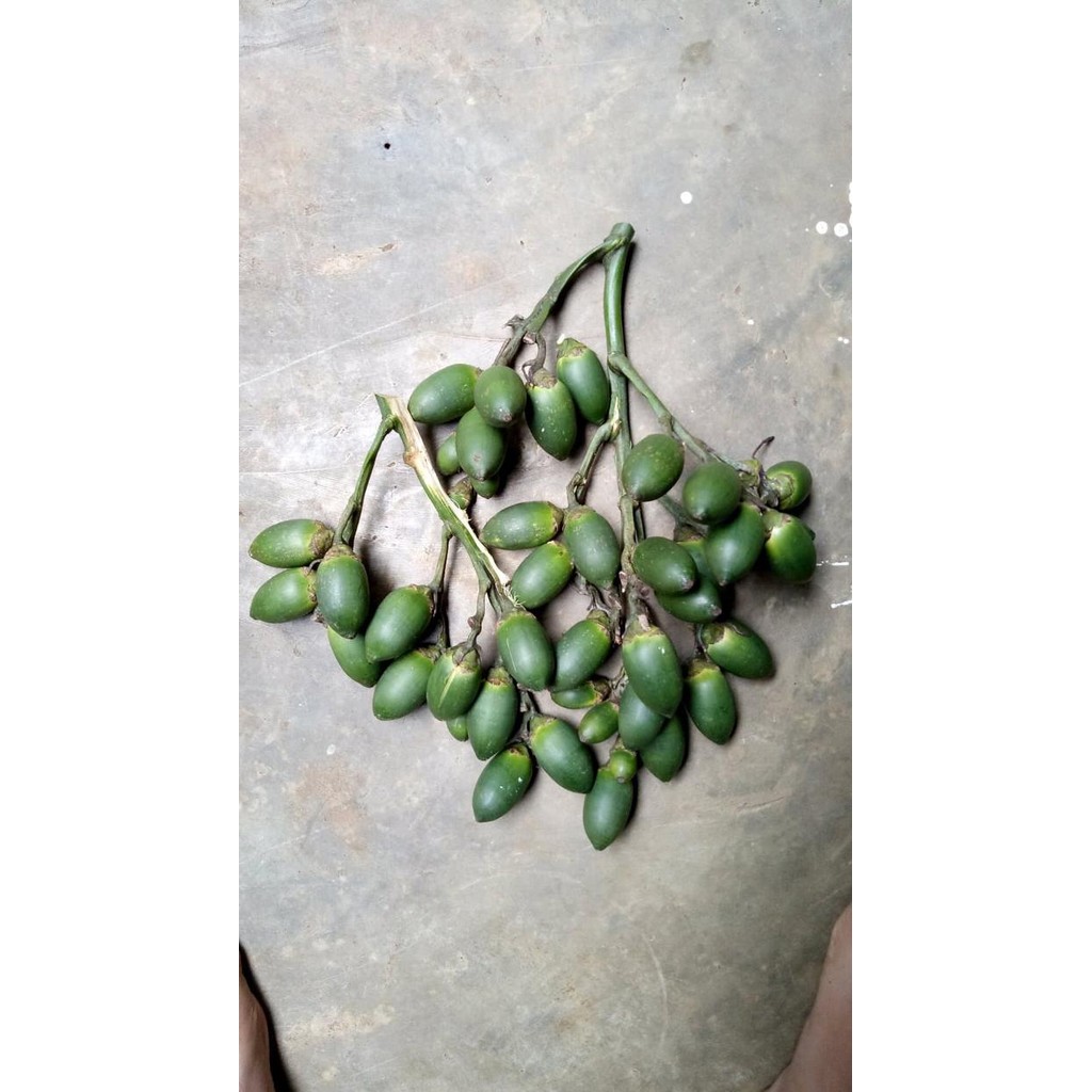 

Ready stok buah pinang ceming buah pinang muda