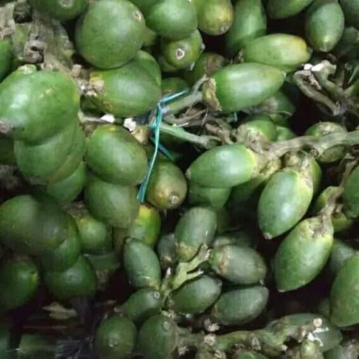 

Ready stok buah pinang ceming Jual Buah pinang muda,buah jambe muda segar,buah jambe 1001 manfaat