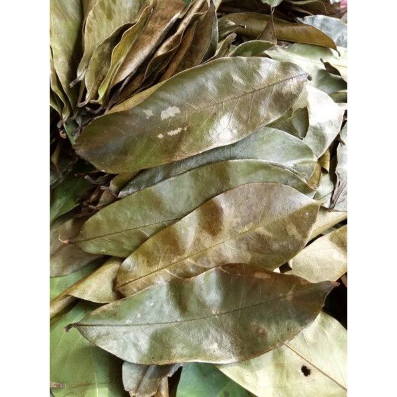 

Sahabatalam Daun sirsak kering obat minuman herbal paket 50 lembar