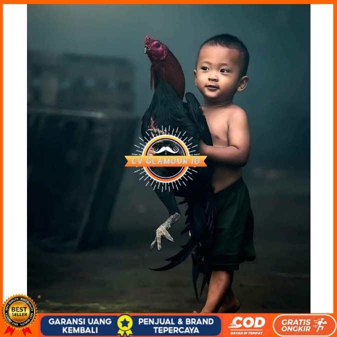 

5 BIJI TELUR RAJA SAIGON PROMOO KERAS.MURAHH CV GLAMOUR ID