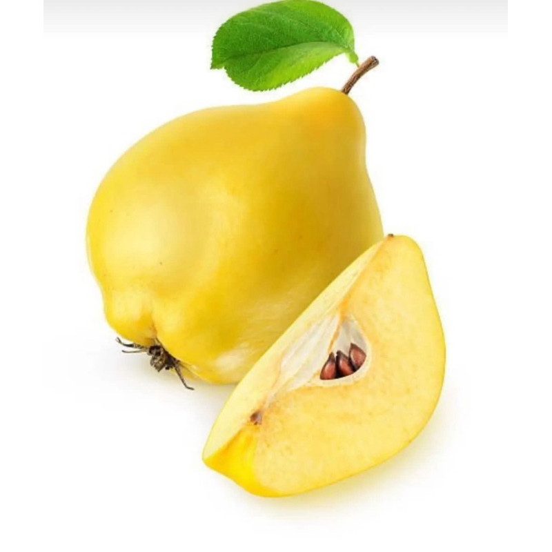

READY BUAH AYVA/SAFARJAL (PER BIJI/BUAH) TURKI