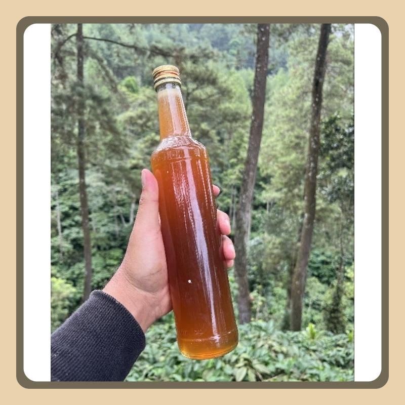 

MADU KLANCENG, MADU JOSS ,MADU DIET, PENGOBATAN DIABETES , LANGSUNG LIVE AMBIL DARI SARANGNYA, KASTA TERTINGGI DALAM BIDANG MADU MURNI, JAMINAN DUNIA AKHIRAT MURNI TANPA CAMPURAN GULA ATAU BAHAN SINTETIS LAINYA