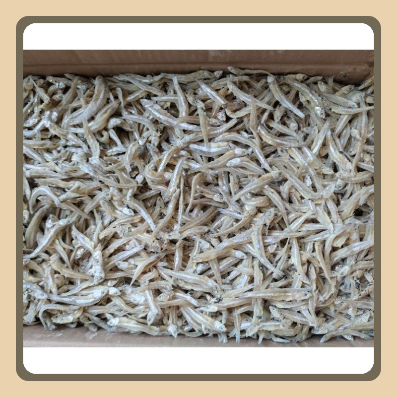 

IKAN ASIN TERI ASIN KERING/BULAT 250GR