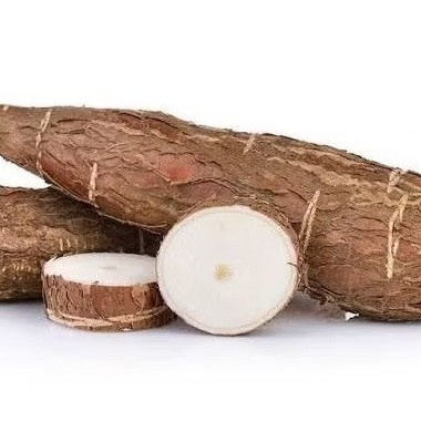 

Singkong 1000 gr, ubi singkong, singkong sapi, singkong racun