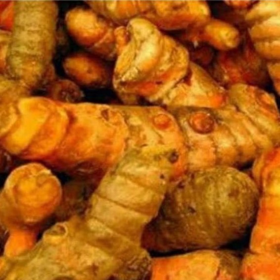 

KUNYIT SEGAR ORGANIK HASIL PANEN PETANI PILIHAN 1000 GRAM