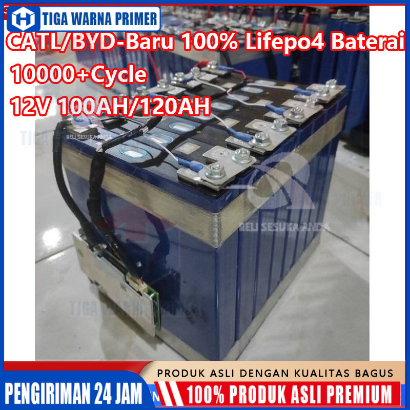 CATL/BYD Battery Lifepo4 24v /12v 120ah/100AH Battery Lifepo4 12v/24v 120ah 100ah plus BMS UPS