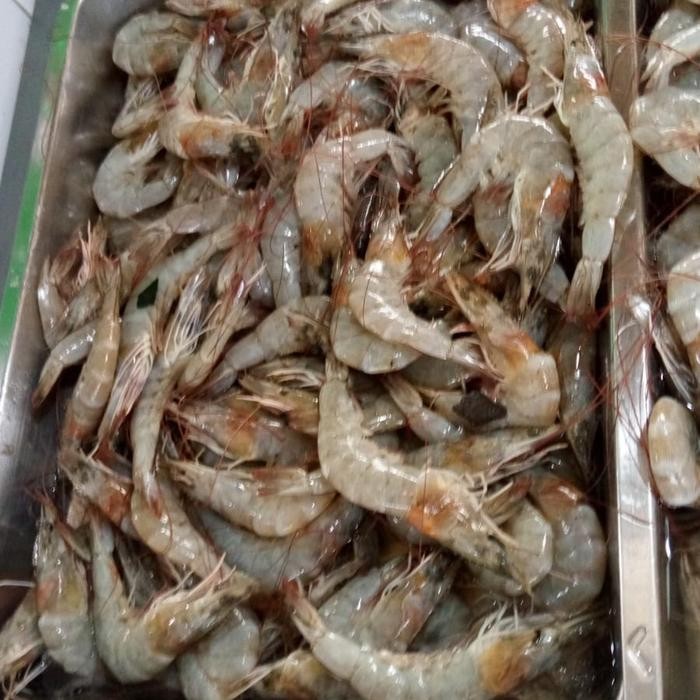 

Udang Vaname Kecil 250gr