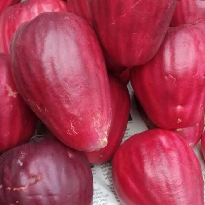 

Jambu Bol Jamaika 500gr